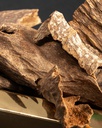 Vietnamese Oud TOLW11BN
