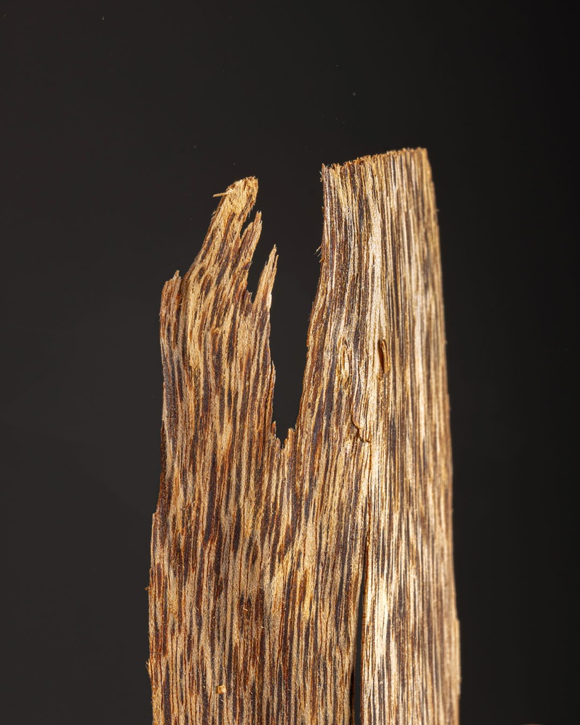 Vietnamese wood chips TOLW21BN