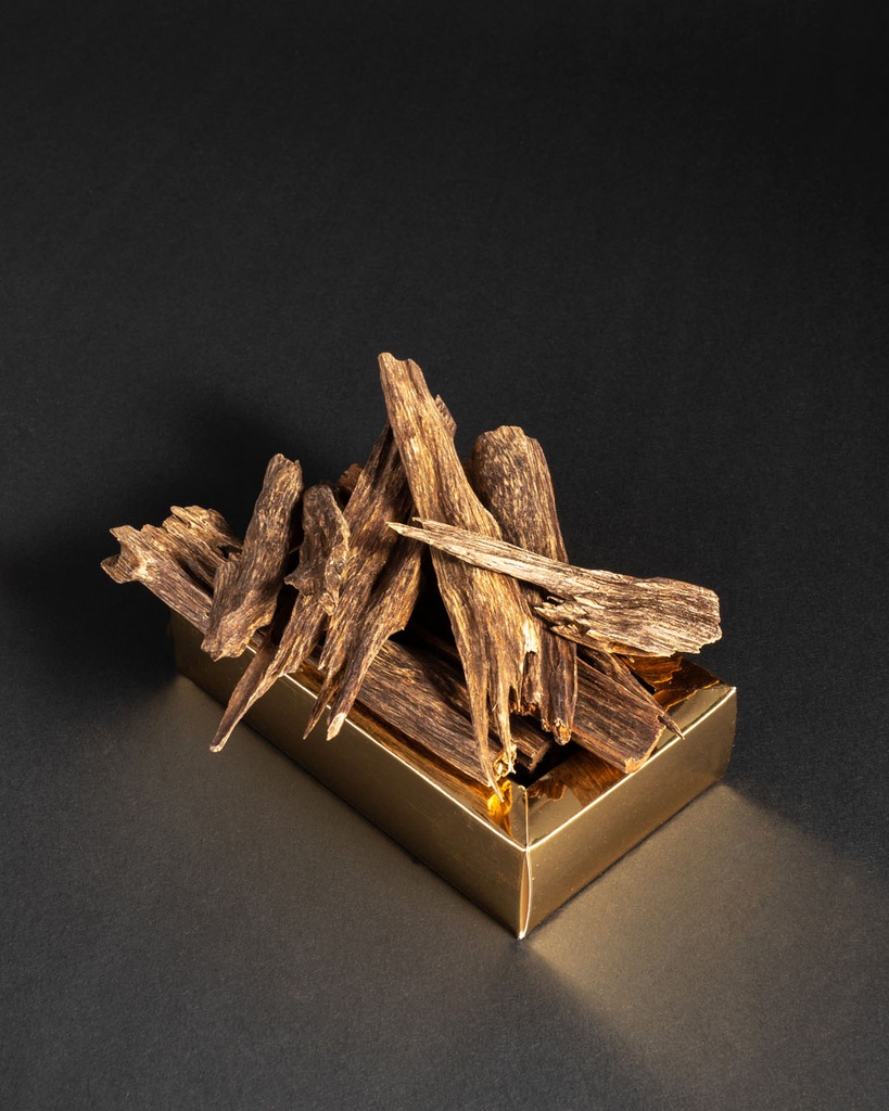 Assam Indian Oud TOLW14BN