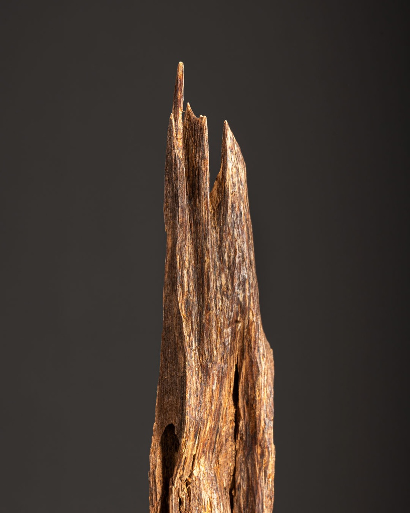 Assam Indian Oud TOLW14BN