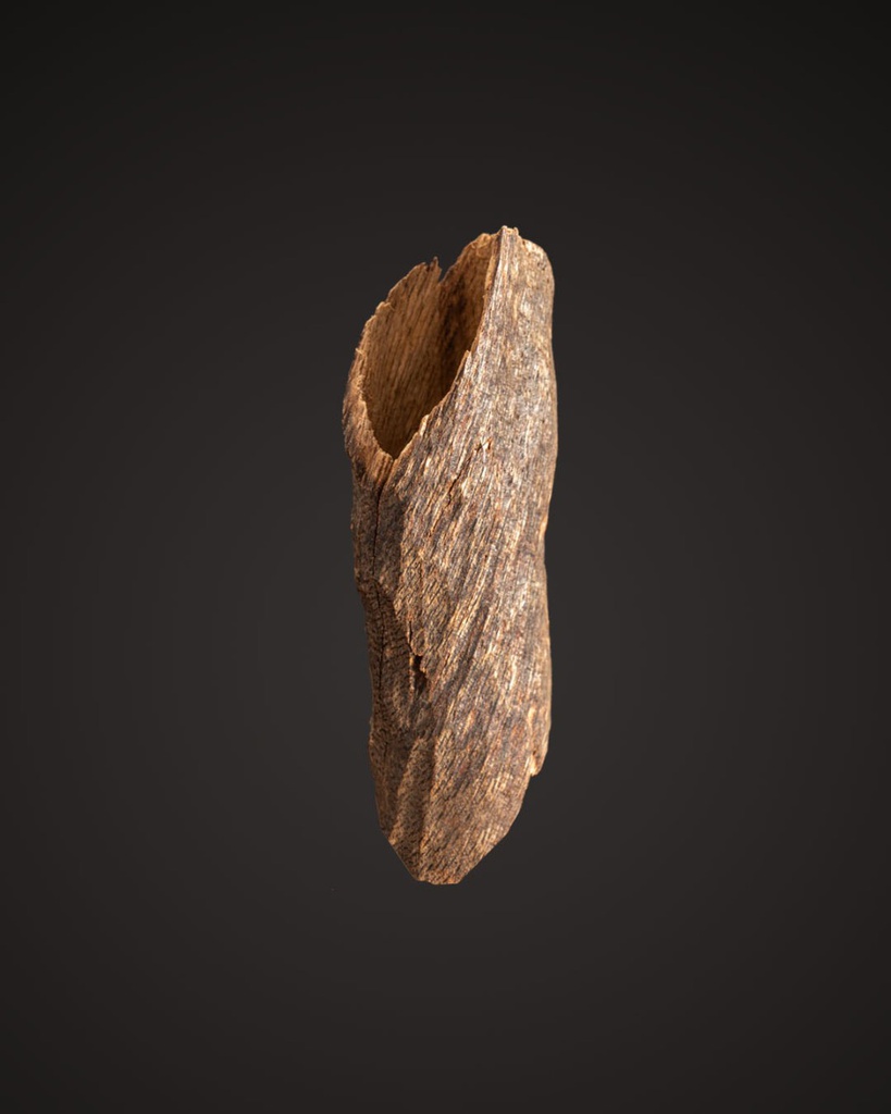 Vietnamese Oud TOLW11BN