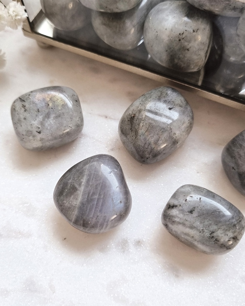 Lbaradorite level 1 bracelet BRA081GY