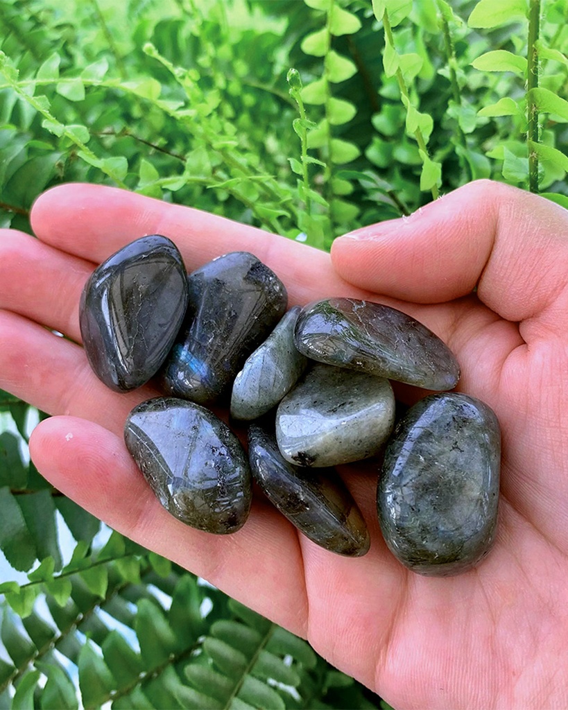 Lbaradorite level 1 bracelet BRA081GY