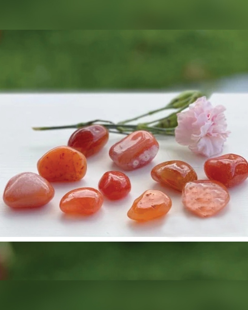 خاتم نسائي فيروز وعقيق طبيعي بتصميم فاخر