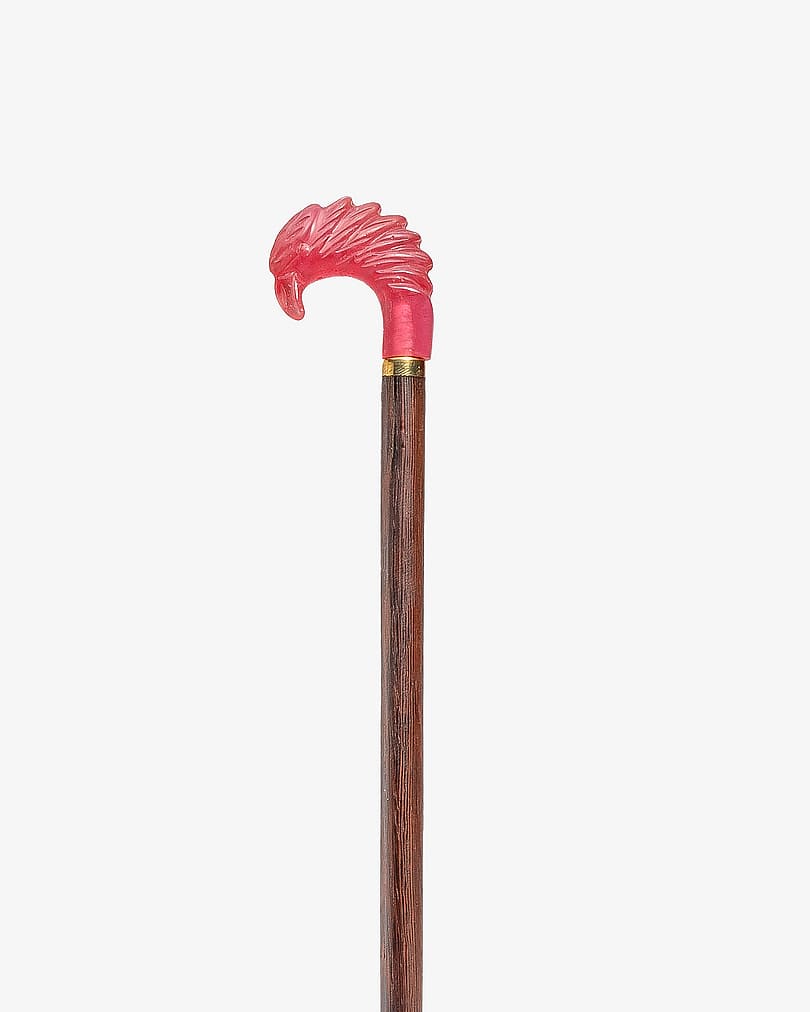 عصا عكاز خشب فينجي مزين رأس النسر