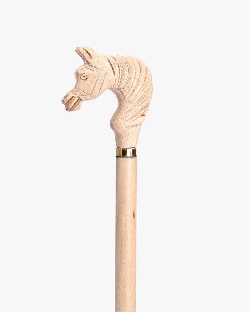 Almond wood crutch juicer CAN696