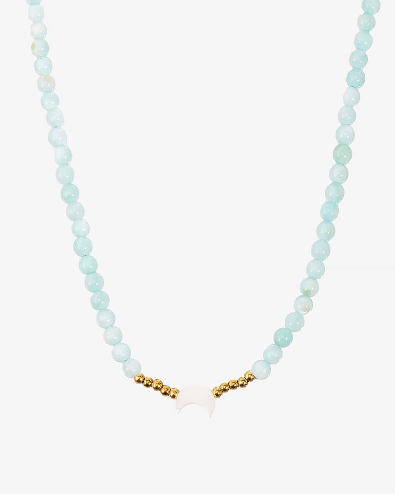 Amazonite and shell necklace WNEC249LL
