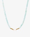 Amazonite and shell necklace WNEC249LL