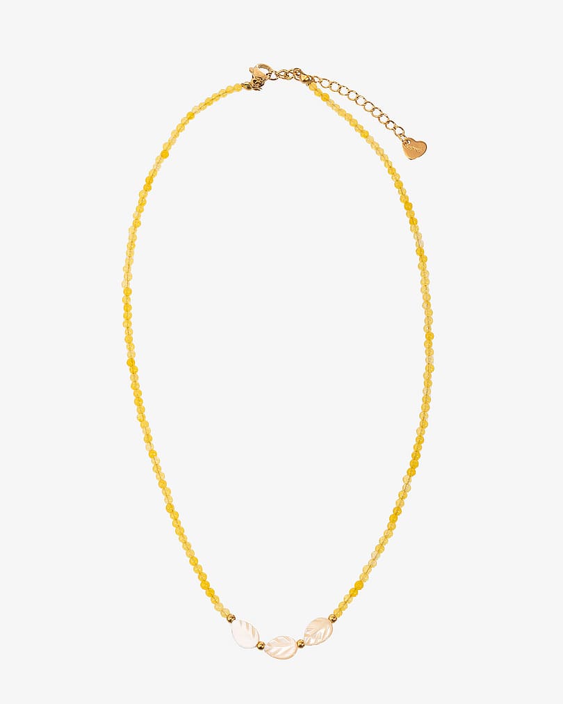 Natural Shell Necklace with Gold Details WNEC225YL