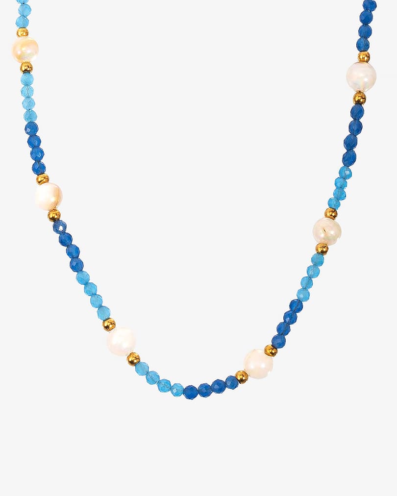 Women's necklace made of natural shells WNEC236BL