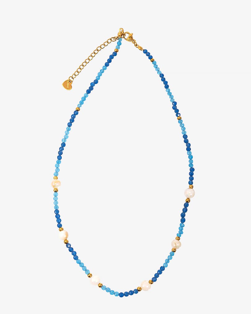 Women's necklace made of natural shells WNEC236BL