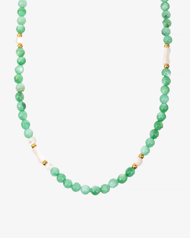 Women's necklace made of natural shells WNEC253GN