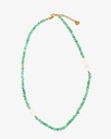 Women's necklace made of natural shells WNEC254GN