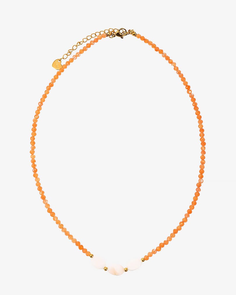 Women's necklace made of natural shells WNEC243OR