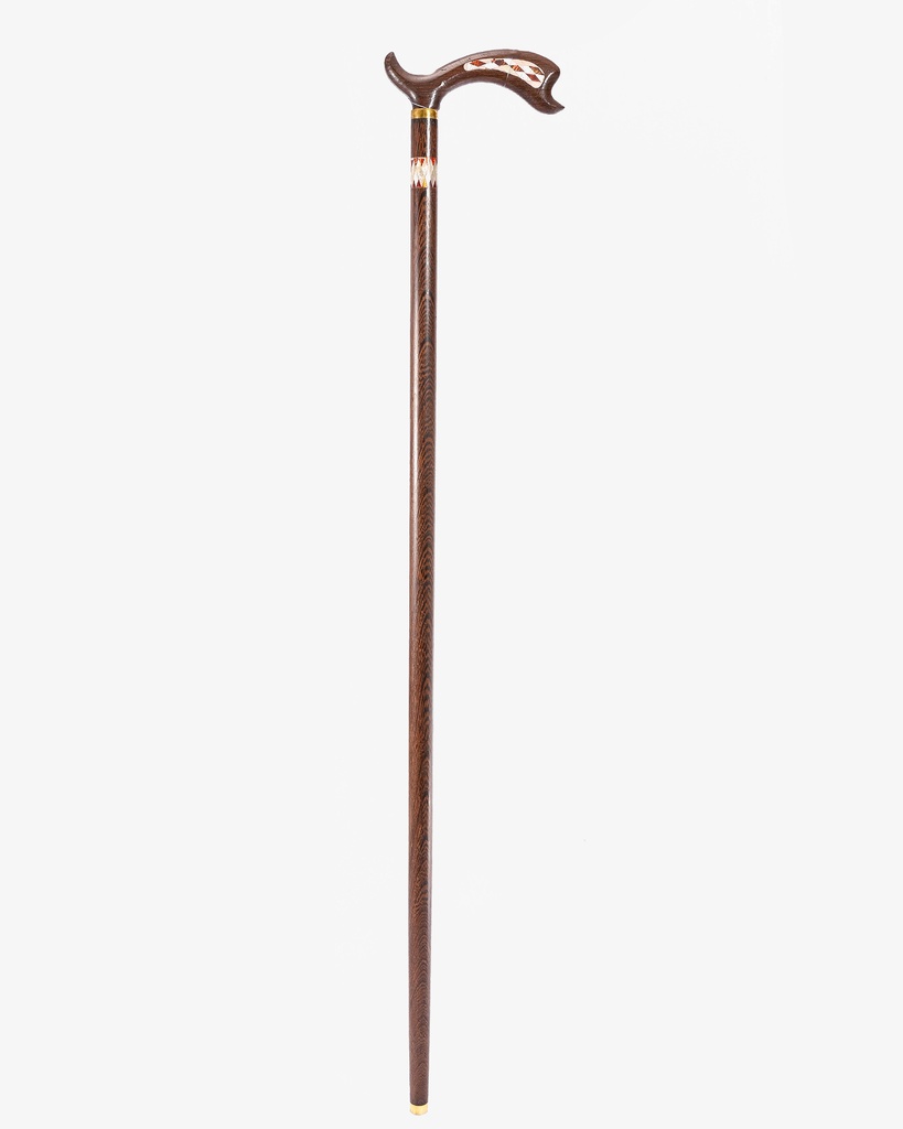 Fengyi Crutch CAN920