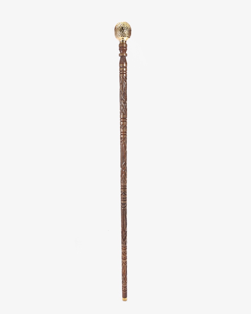 Iron cane stick CAN916