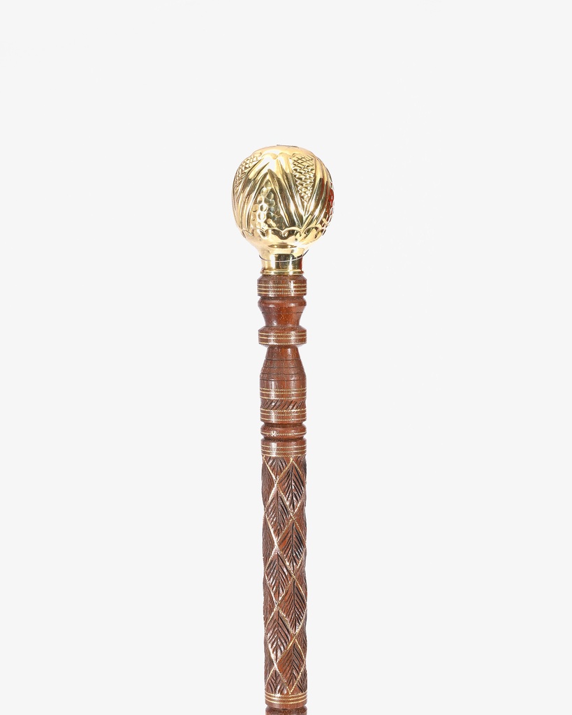 Iron cane stick CAN919