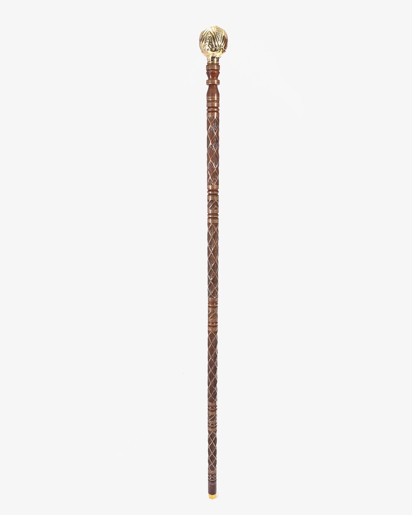Iron cane stick CAN919