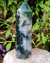 tree agate dimiomnd stone0039