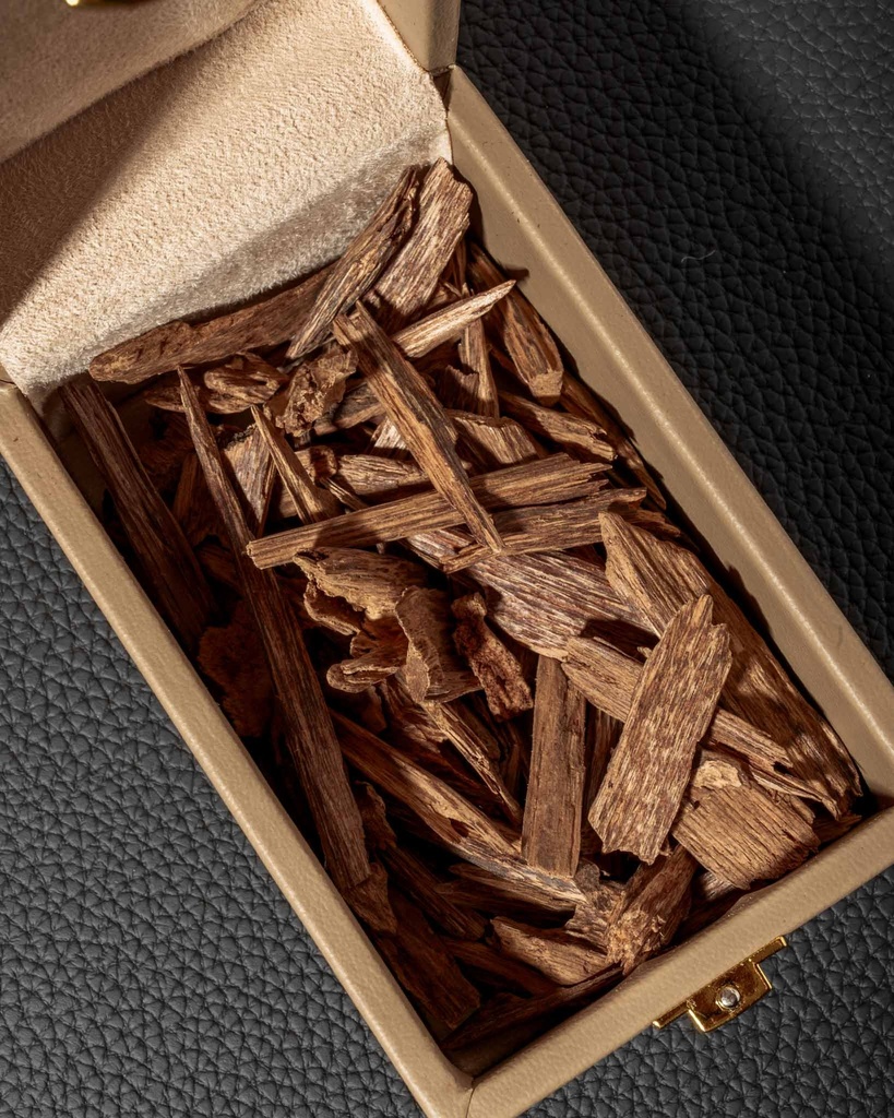 MALYNO KLAMINTAN MALYSIA AA OUDAMKMA2