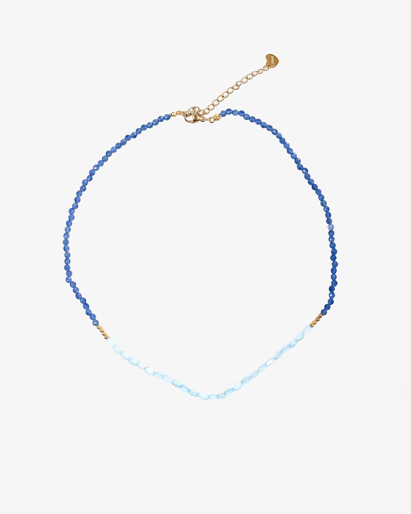 Women's Necklace Made of Natural Shells WNEC240BL