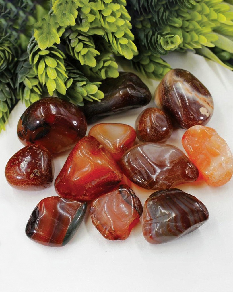 Veined Agate Bracelet  WBRA197BN