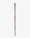 A metal walking stick CAN1004