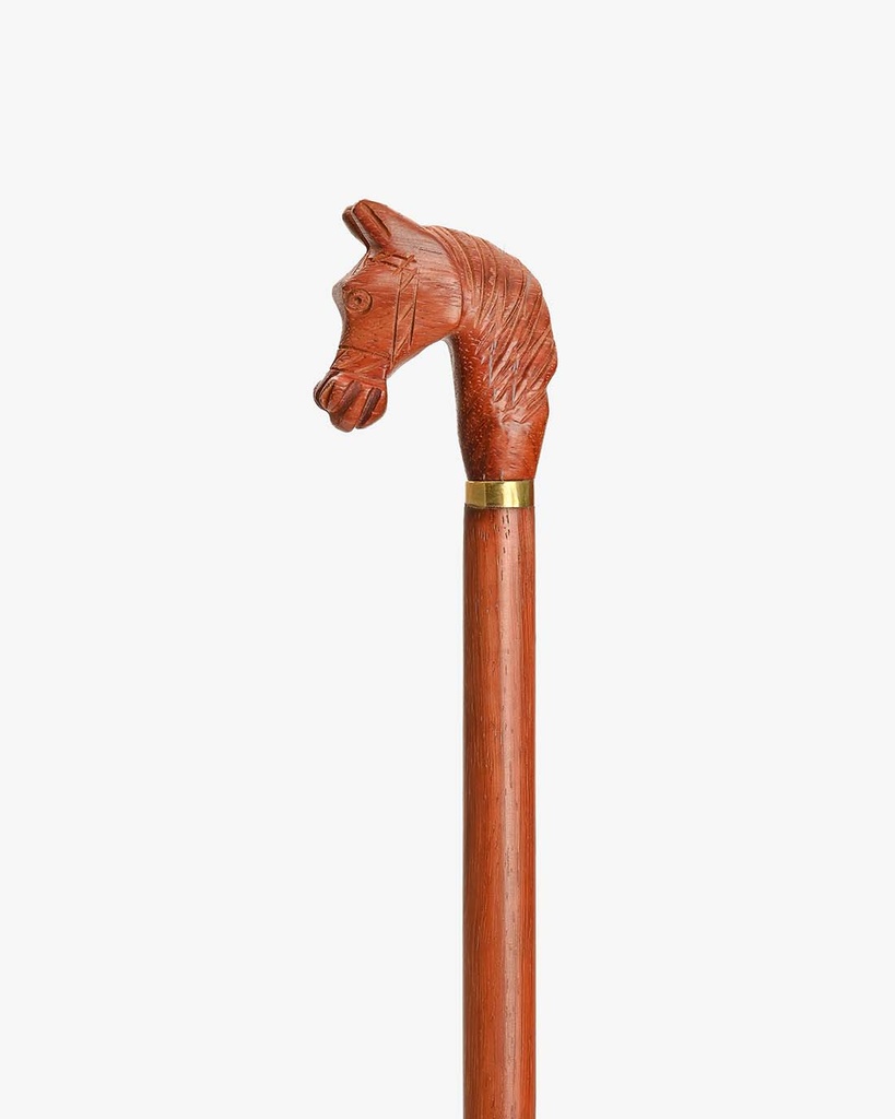 Rosewood walking stick CAN1025