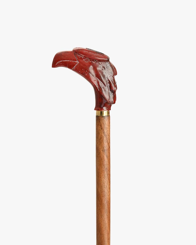 Teakwood walking stick CAN1026
