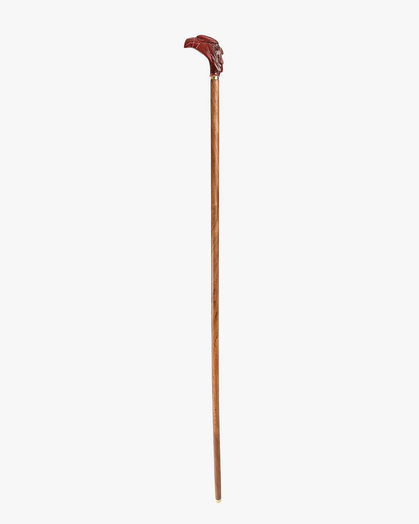 Teakwood walking stick CAN1026