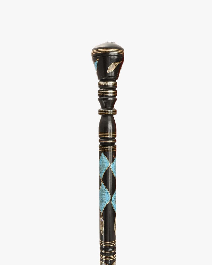 Ebanus walking stick CAN1020
