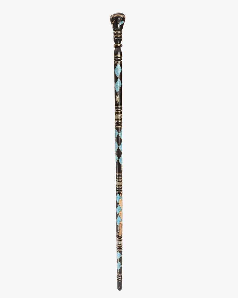 Ebanus walking stick CAN1020