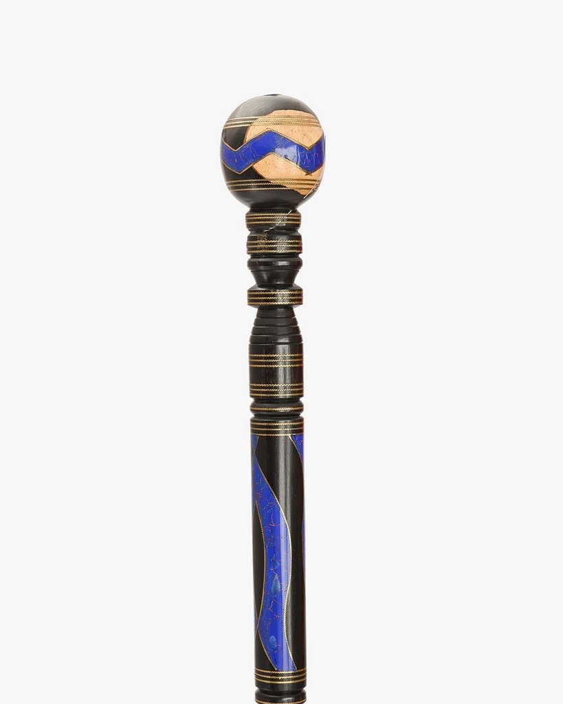 Epanus walking stick CAN1021
