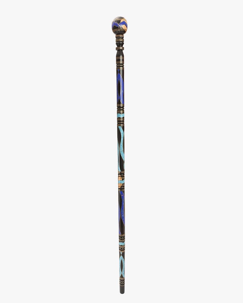 Epanus walking stick CAN1021