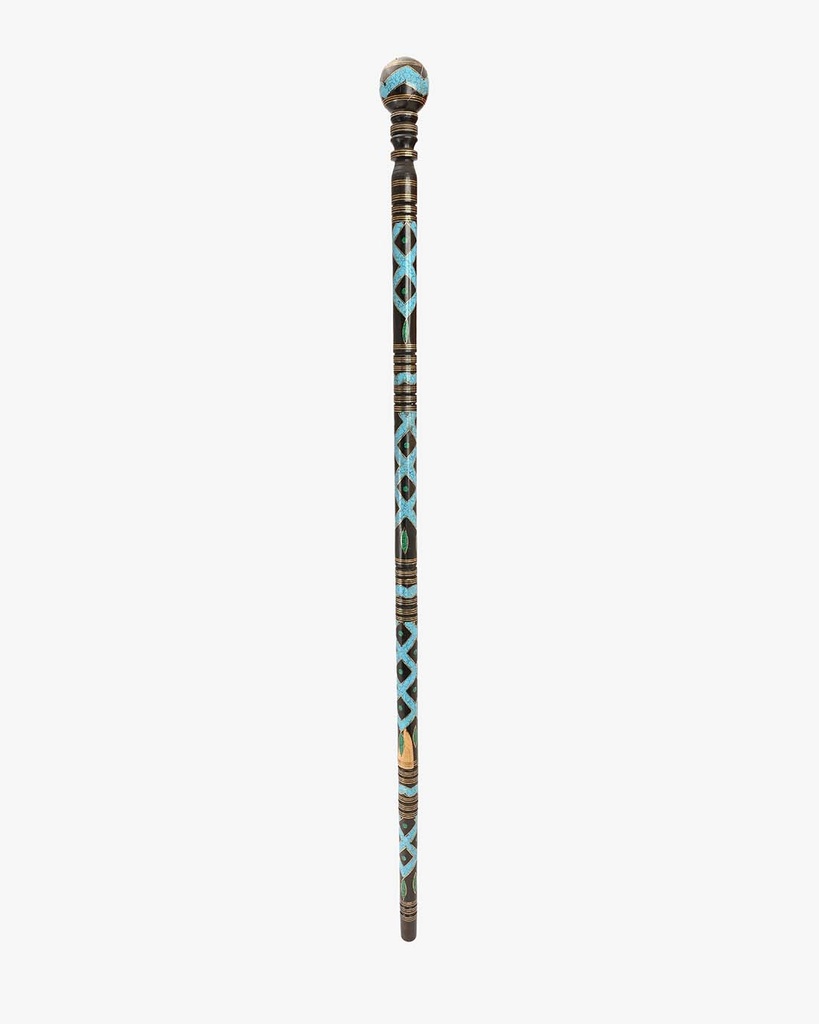 Ebanus walking stick CAN1022