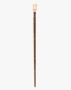 Teakwood walking stick CAN1009