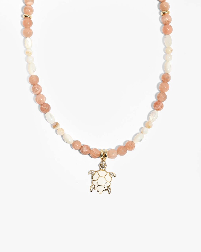 Sandstone and shells WNEC322MC