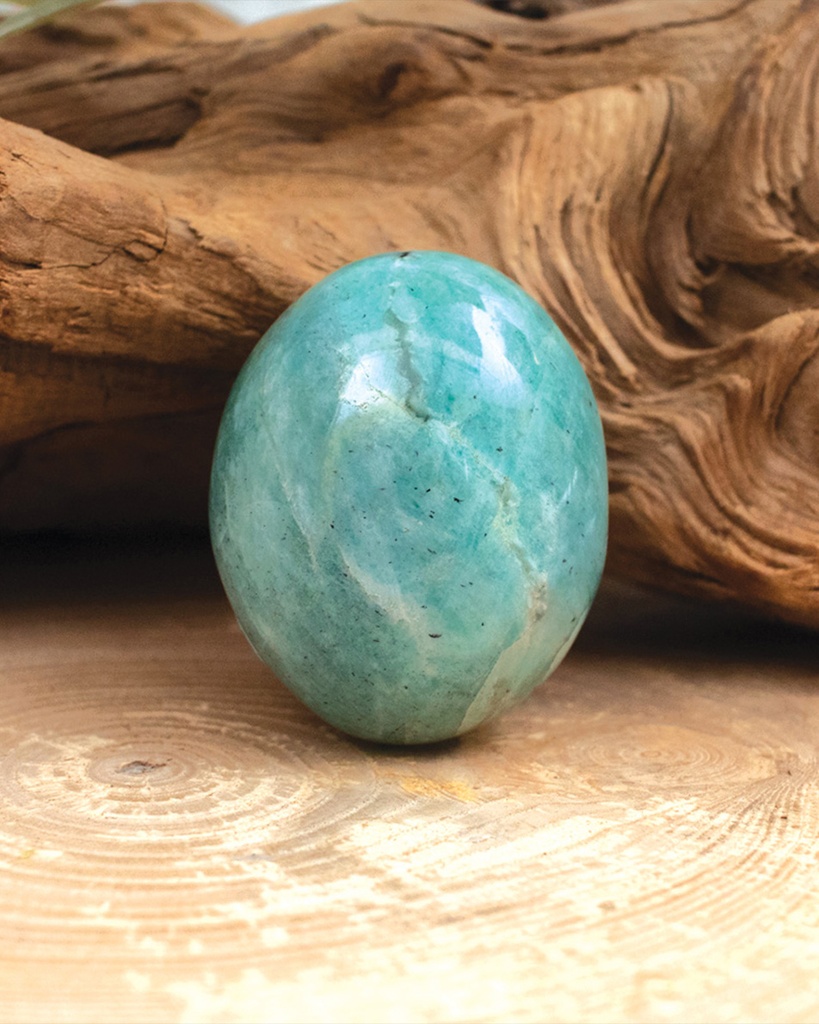 Aquamarine Stone and Shell WNEC326MC