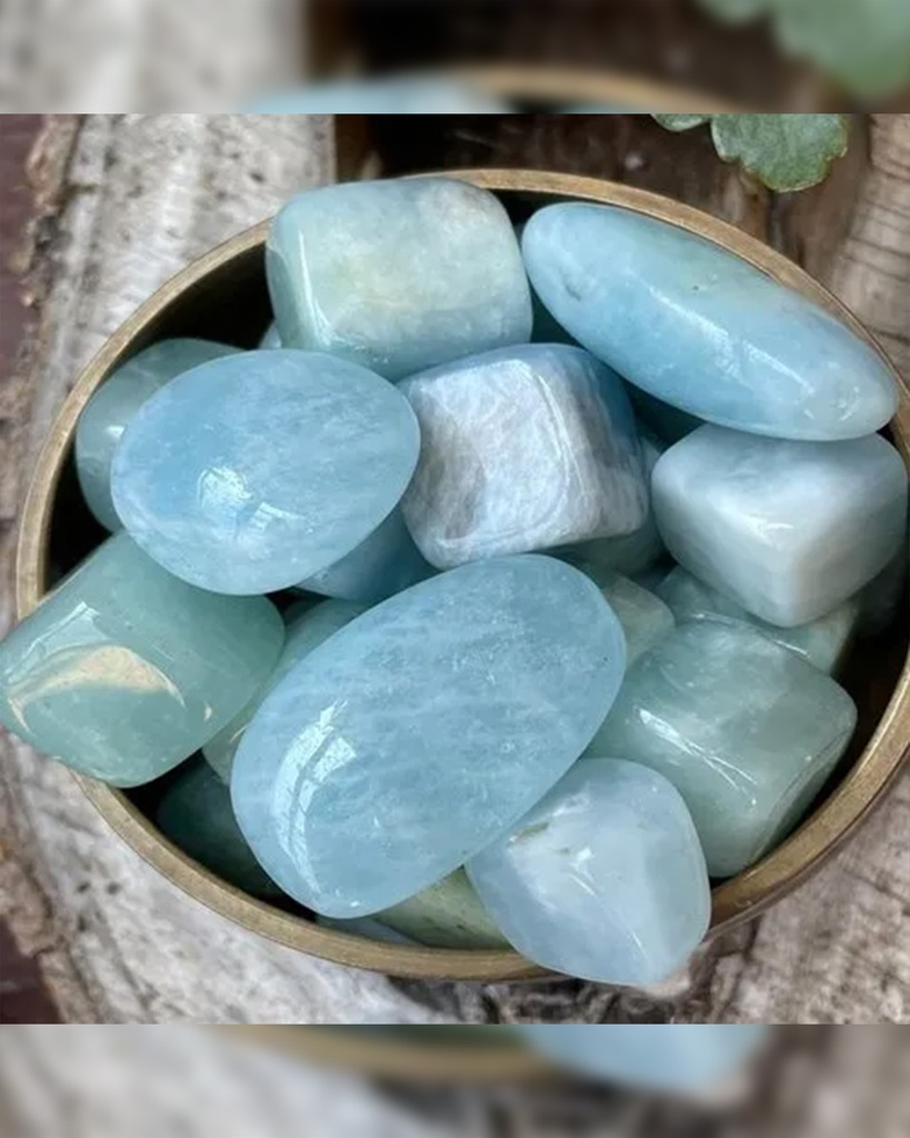 Peridot and coral stone WNEC337LL