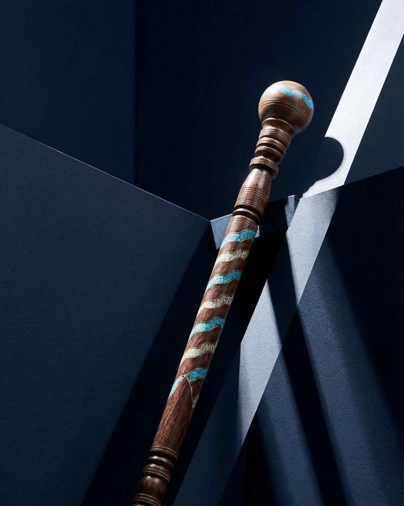 A metal walking stick CAN1004