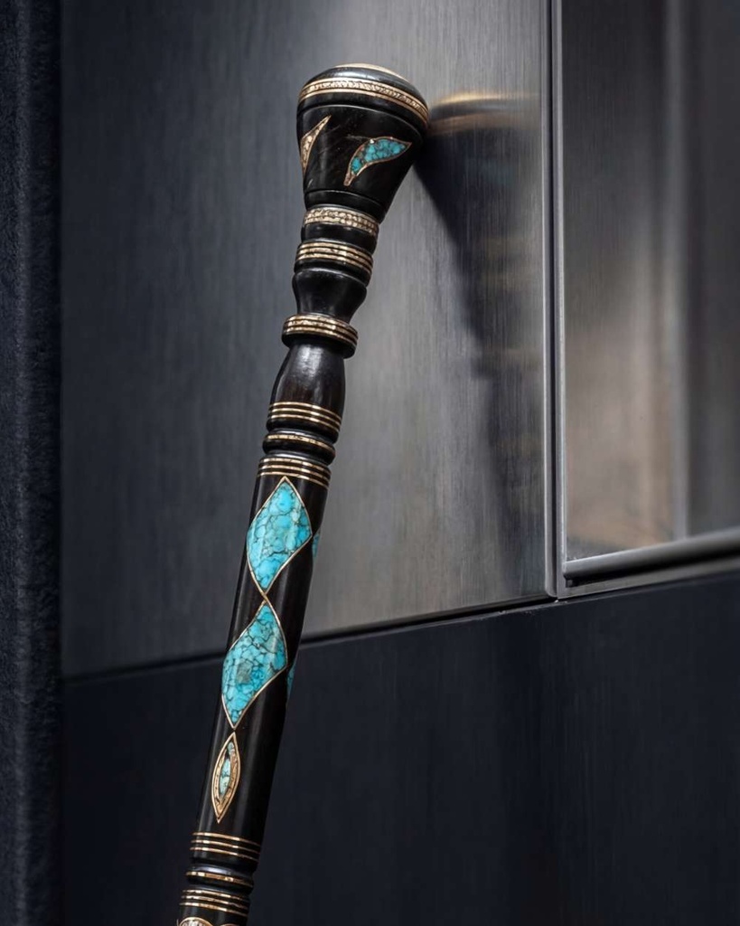 Ebanus walking stick CAN1020