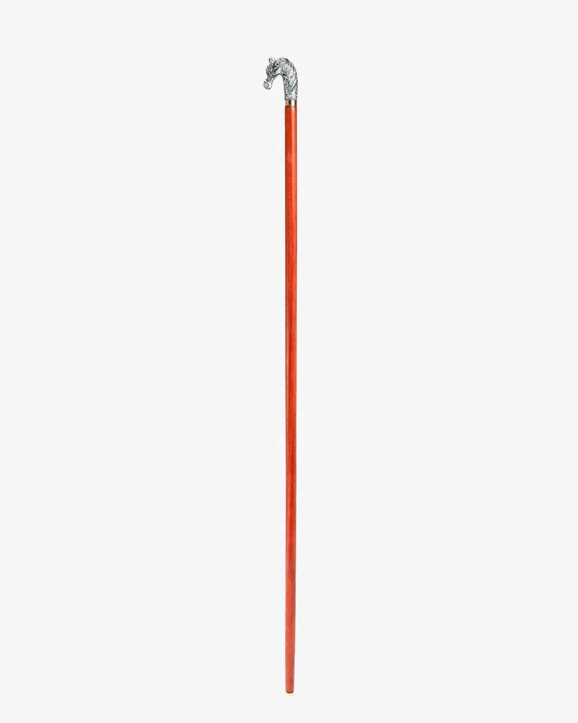 Horsehead walking stick CAN1046