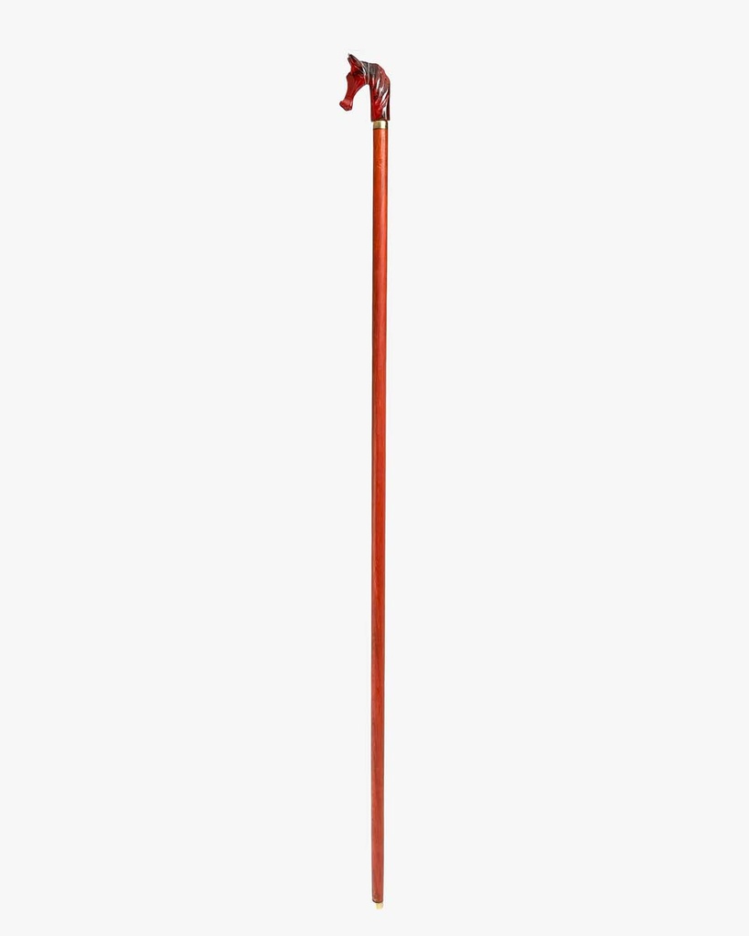 Horsehead walking stick CAN1047