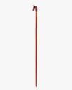 Horsehead walking stick CAN1047