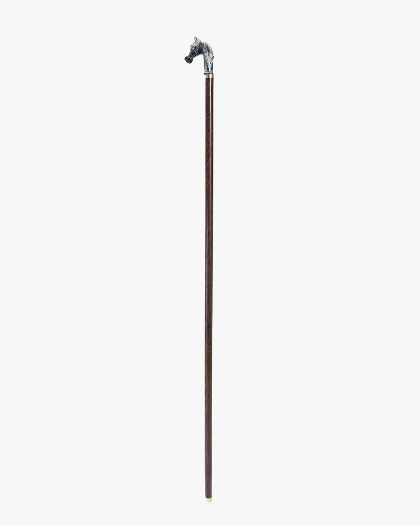 Horsehead walking stick CAN1048