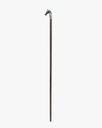 Horsehead walking stick CAN1048