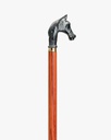 Horsehead walking stick CAN1049