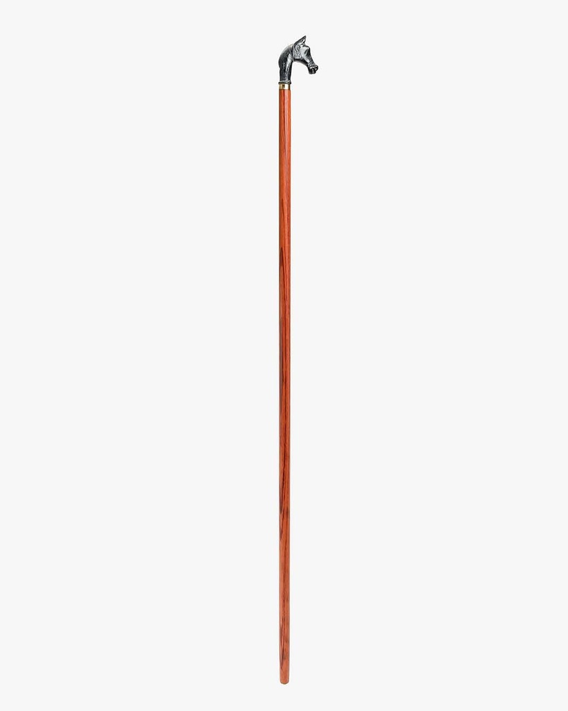 Horsehead walking stick CAN1049