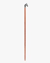 Horsehead walking stick CAN1049