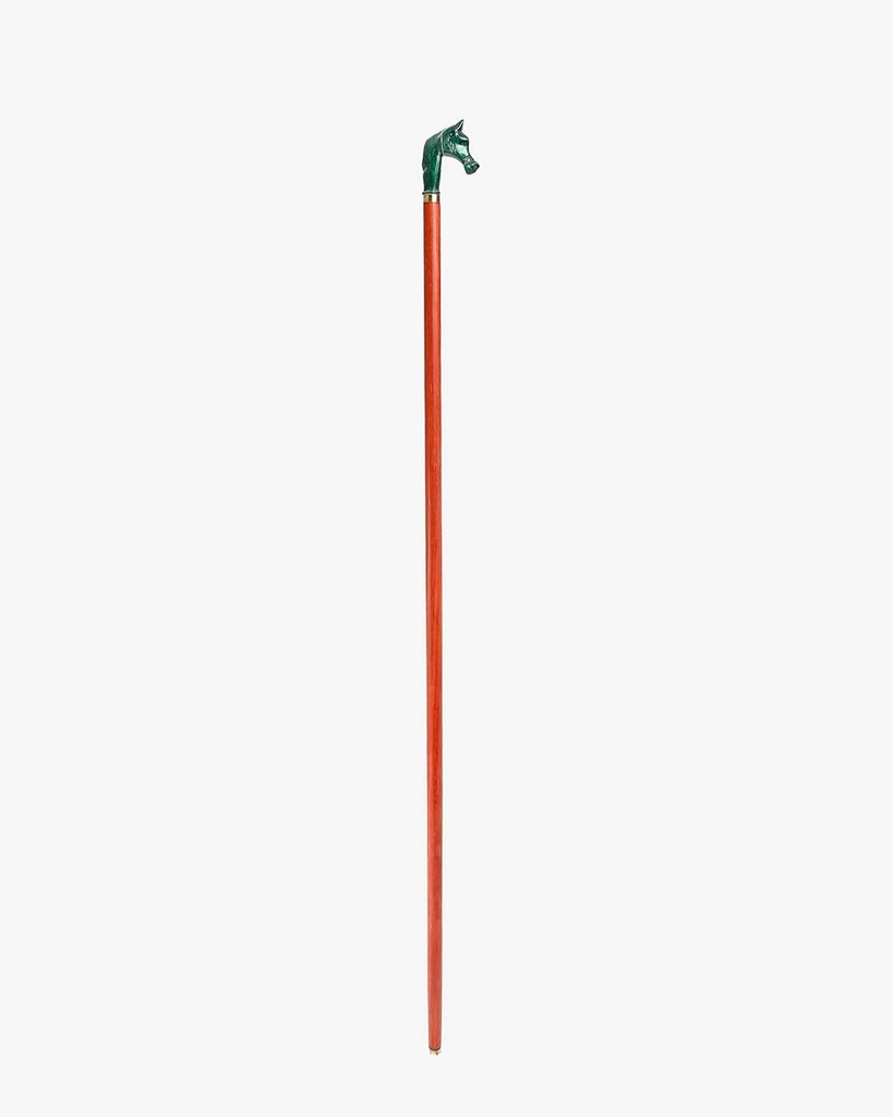 Horsehead walking stick CAN1050